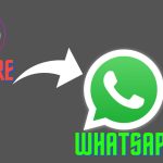 How To Share My Instagram Profile Link On Whatsapp
