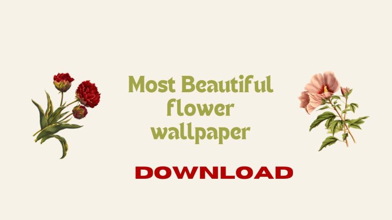 Most Beautiful flower wallpaper for mobile 2024 Free